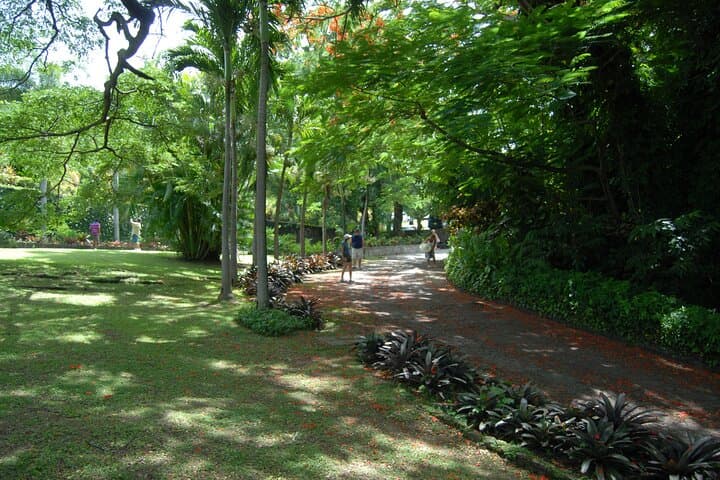 Panoramic Plus: Romney Manor & Timothy Hill Scenic Garden Tour, St Kitts photo 2