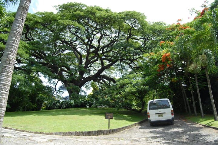 Panoramic Plus: Romney Manor & Timothy Hill Scenic Garden Tour, St Kitts photo 3