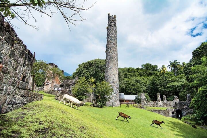 Panoramic Plus: Romney Manor & Timothy Hill Scenic Garden Tour, St Kitts photo 5