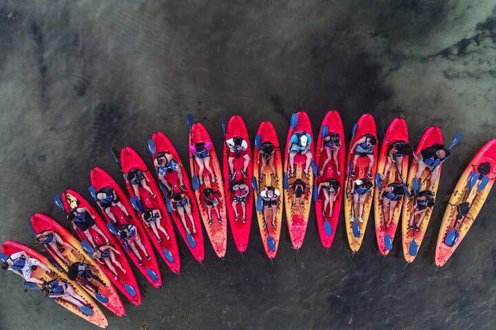 Fajardo Bio Bay Kayak Tour: Sunset Laguna Grande Bioluminescent Adventure photo 5