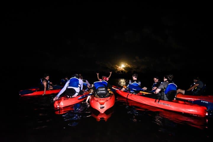 Fajardo Bio Bay Kayak Tour: Sunset Laguna Grande Bioluminescent Adventure photo 4