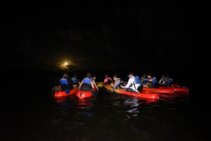 Fajardo Bio Bay Kayak Tour: Sunset Laguna Grande Bioluminescent Adventure photo 3
