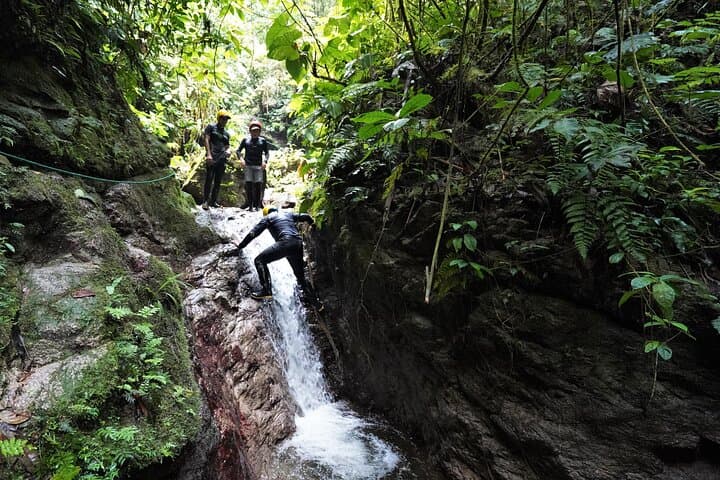 Peaks to Canopy: Active 7-Day Northern Andes and Amazon Adventure photo 6
