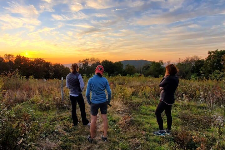Asheville Guided Sunset Hike to West-Facing Peaks photo 3