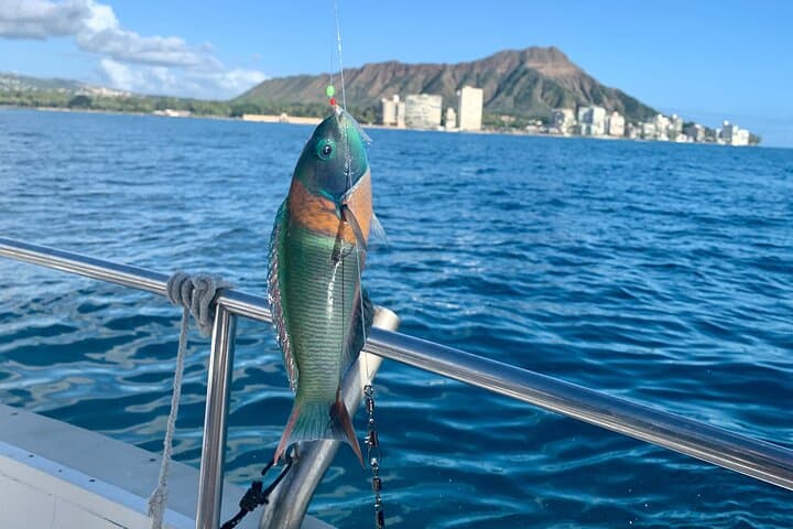 Private Reef Fishing Charter from Kewalo Basin Harbor, Honolulu photo 3