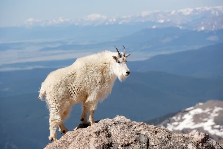 Mount Blue Sky Summit & Red Rocks Day Tour from Denver
