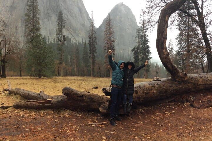 Yosemite Valley Discovery Walk: Guided Day Hike to Yosemite Falls, El Capitan & Tunnel View photo 4