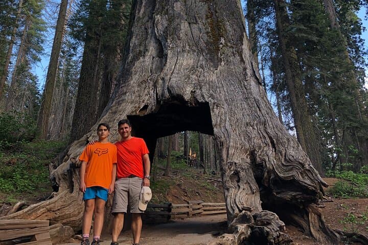 Yosemite Valley Discovery Walk: Guided Day Hike to Yosemite Falls, El Capitan & Tunnel View photo 6