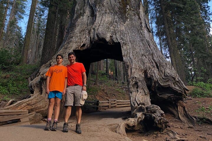 One Day in Yosemite: Glacier Point, Giant Sequoias & Valley Highlights photo 4