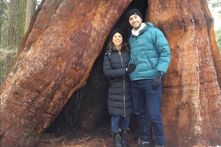 One Day in Yosemite: Glacier Point, Giant Sequoias & Valley Highlights photo 5