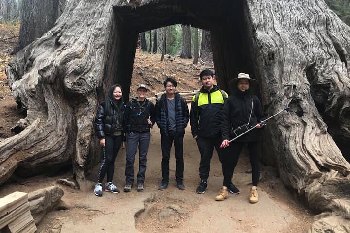 One Day in Yosemite: Glacier Point, Giant Sequoias & Valley Highlights photo 6