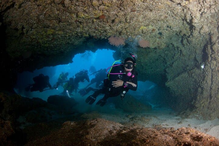 Scuba Diving Puerto Vallarta: Marietas Islands & Los Arcos Day Trips photo 6
