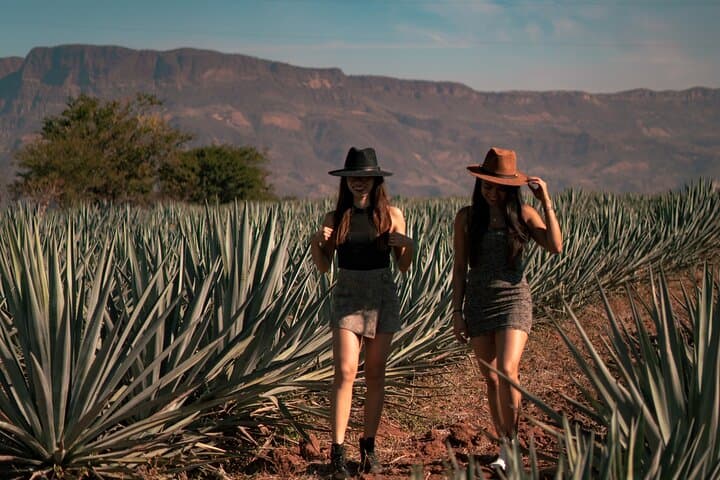 VIP Tequila Experience: Private Tequila Tasting & Hacienda Dinner from Guadalajara photo 3