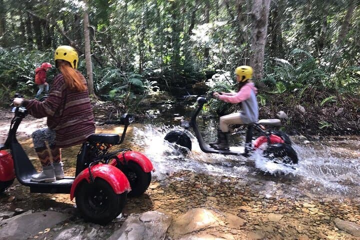 Electric Scooter Tours Through Tsitsikamma National Park (Stormsriver Village)