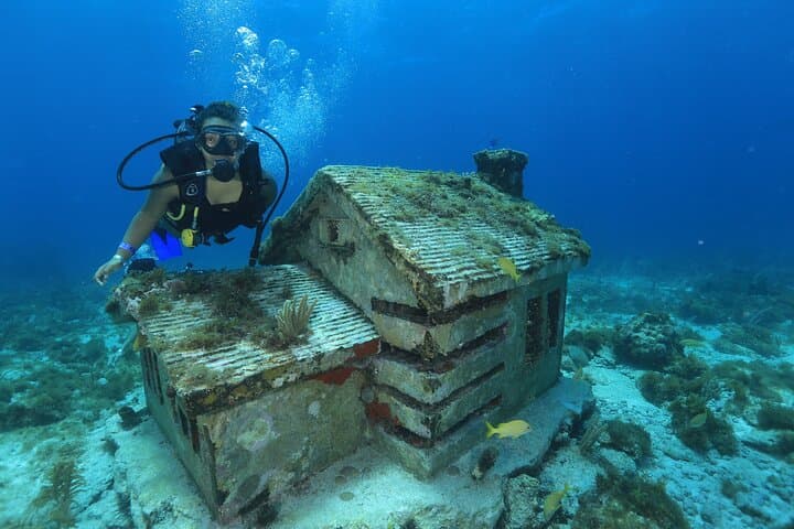 Two-Tank Beginner Scuba in Cancun: MUSA & Manchones Reef Guide photo 2