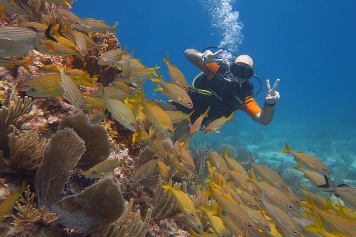 Cancun 2-Tank Dive: MUSA Underwater Museum & Manchones Reef for Certified Divers photo 6