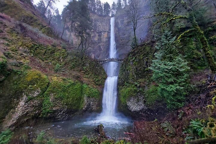 Private Columbia River Gorge Half-Day Waterfall Tour from Portland photo 3