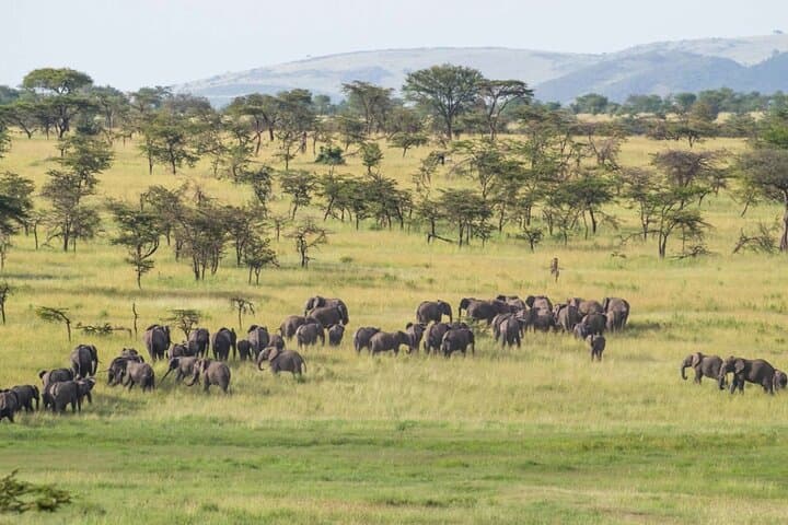 Lake Naivasha Boat Ride and Hell's Gate Day Trip from Nairobi photo 5