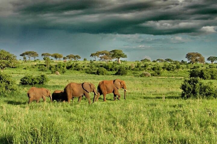 Lake Naivasha Boat Ride and Hell's Gate Day Trip from Nairobi photo 6