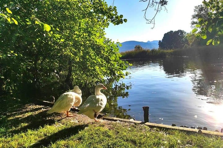 Easy Cycling Lake Ohrid: Kjafasan to Pogradec Day Ride from Ohrid photo 3