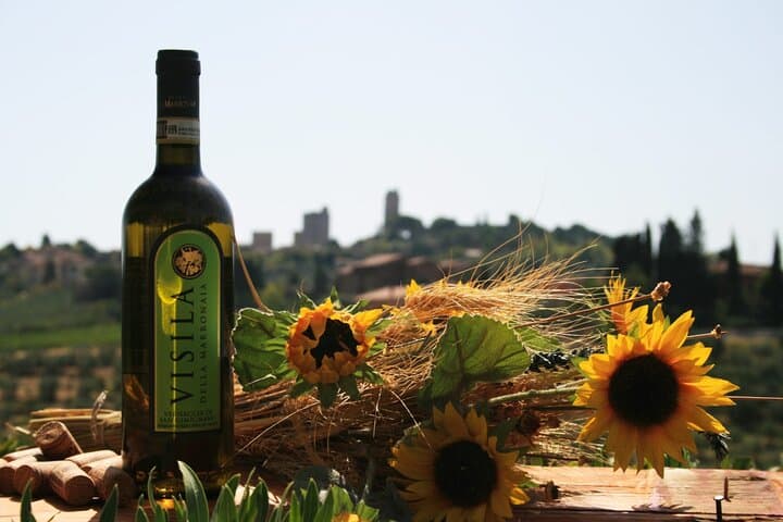 Private Tuscan Vineyard Meal, Wine & EVOO Tasting near San Gimignano