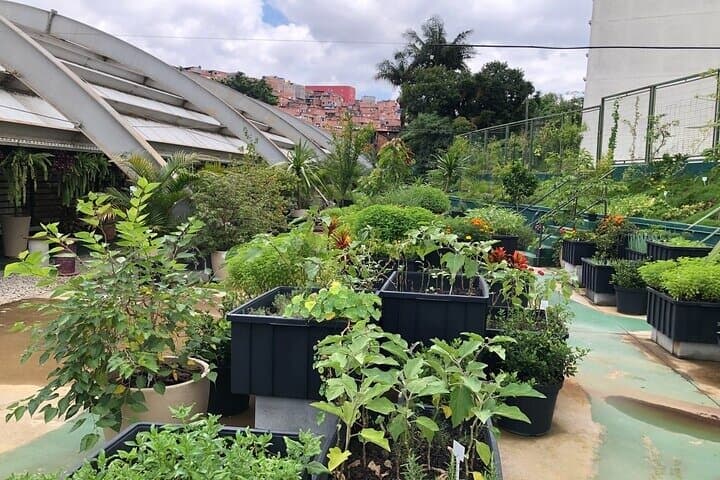 Inside Paraisópolis: Private Tour of São Paulo's Second-Largest Favela & Its Artists photo 4