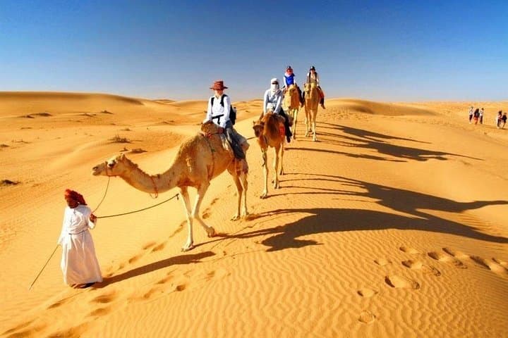 Luxury Dubai Desert Safari: Platinum Dune Bashing, Sunset Camp & Falconry photo 3