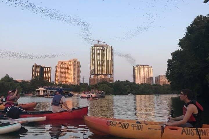 Kayak the Congress Avenue Bat Emergence: Sunset Paddle in Austin photo 3
