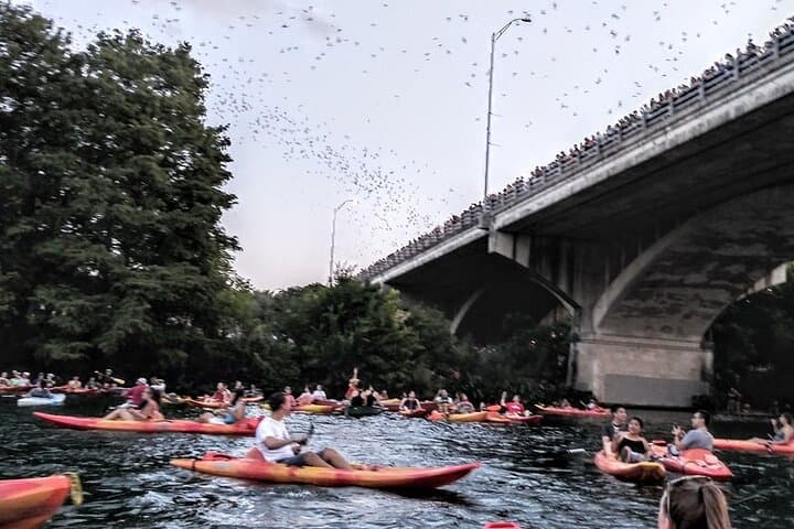 Kayak the Congress Avenue Bat Emergence: Sunset Paddle in Austin photo 4