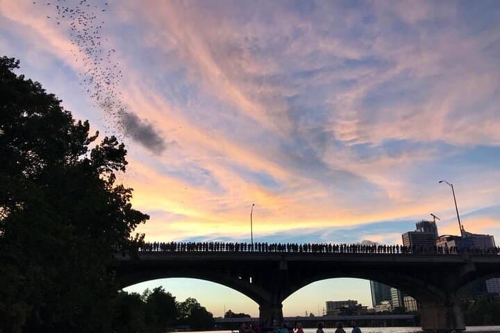 Kayak the Congress Avenue Bat Emergence: Sunset Paddle in Austin photo 5