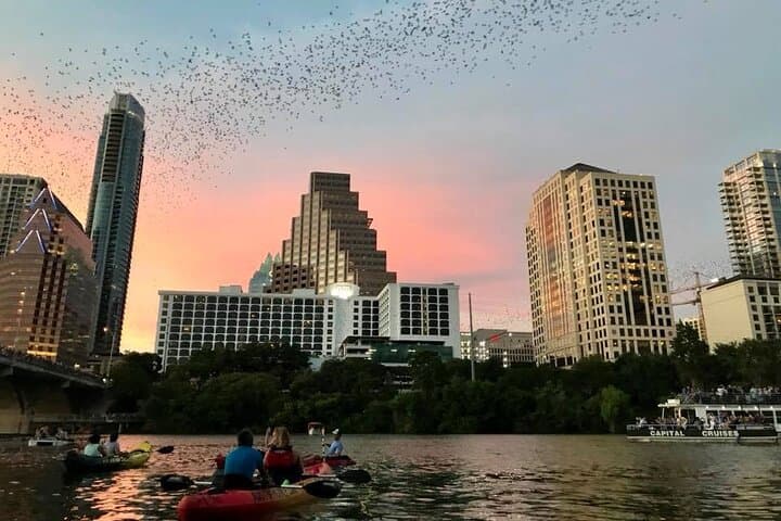 Kayak the Congress Avenue Bat Emergence: Sunset Paddle in Austin