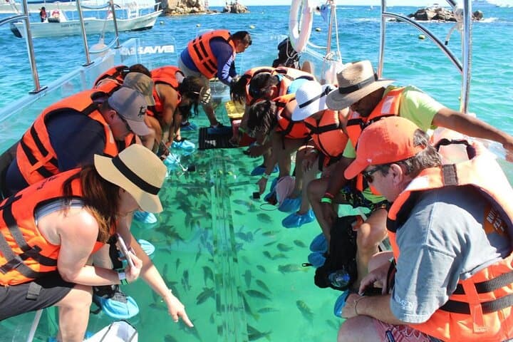 Clear Boat Ride in Los Cabos: Glass-Bottom Cruise to El Arco & Sea Lions photo 2