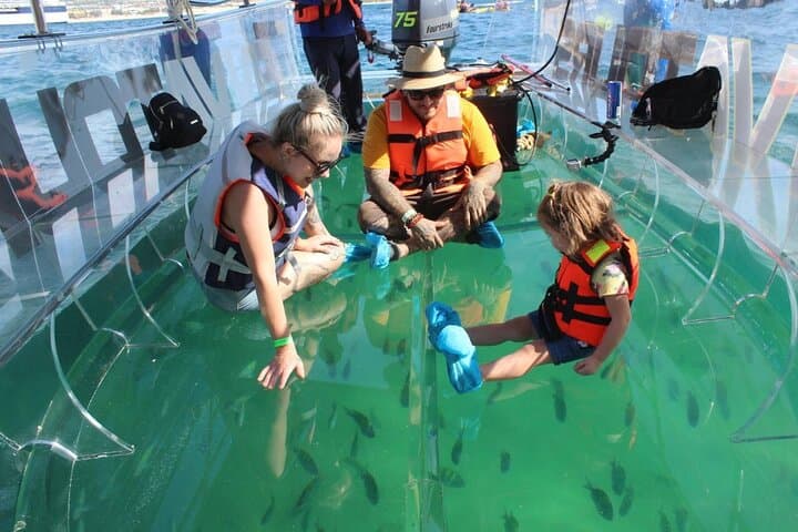 Clear Boat Ride in Los Cabos: Glass-Bottom Cruise to El Arco & Sea Lions photo 3