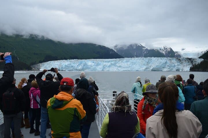 Meares Glacier Cruise from Valdez: Glacier Faces, Whales & Prince William Sound Wildlife photo 5