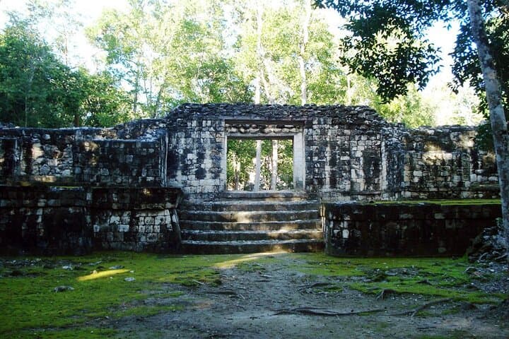 Calakmul and Balamkú Day Tour from Campeche: Jungle Ruins & Stucco Frieze photo 5
