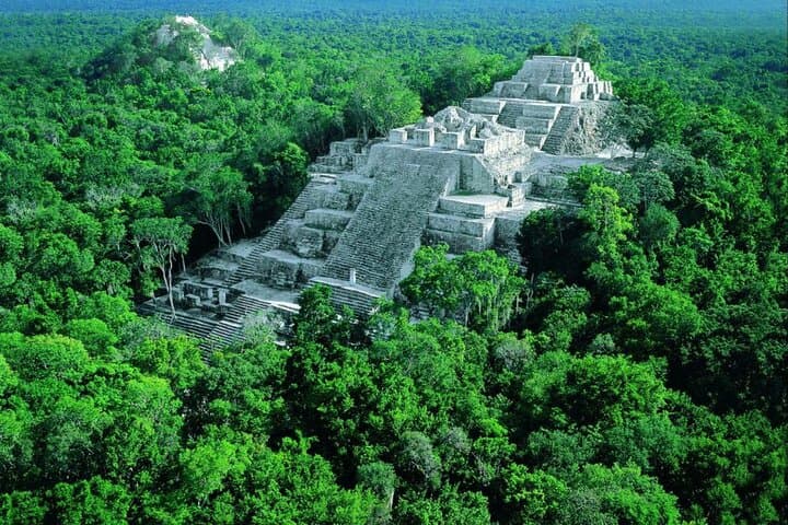 Calakmul and Balamkú Day Tour from Campeche: Jungle Ruins & Stucco Frieze photo 6