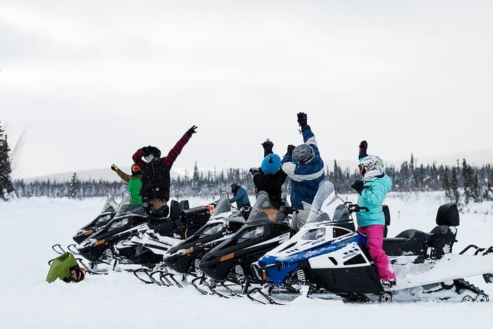 Goldstream Valley 2-Hour Guided Snowmobile Tour — Fairbanks Winter Adventure