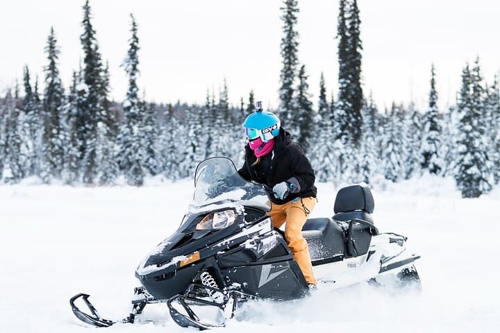 Goldstream Valley 2-Hour Guided Snowmobile Tour — Fairbanks Winter Adventure photo 2