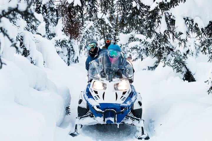 Goldstream Valley 2-Hour Guided Snowmobile Tour — Fairbanks Winter Adventure photo 4