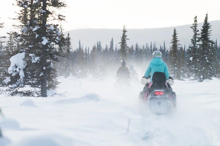 Goldstream Valley 2-Hour Guided Snowmobile Tour — Fairbanks Winter Adventure photo 5