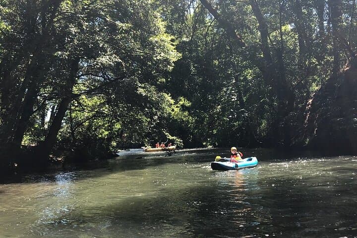 Rogue River Family Float to Discovery Park: Easy Rafting and Kayaking Near Ashland photo 6
