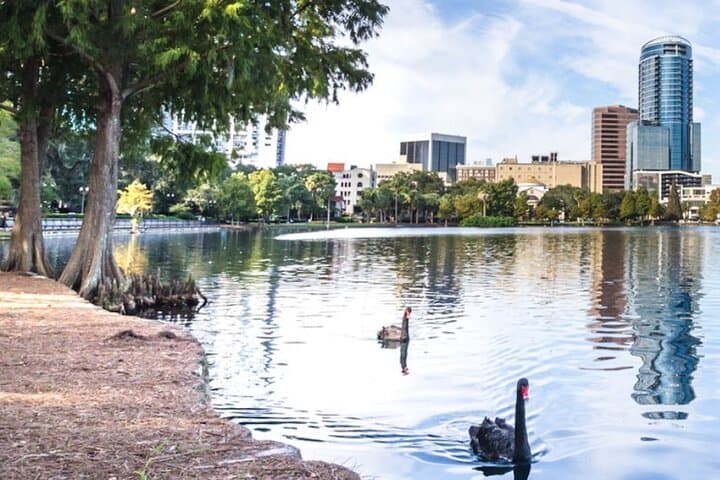 Lake Eola Self-Guided Audio Walk — Orlando's Iconic Loop Explained