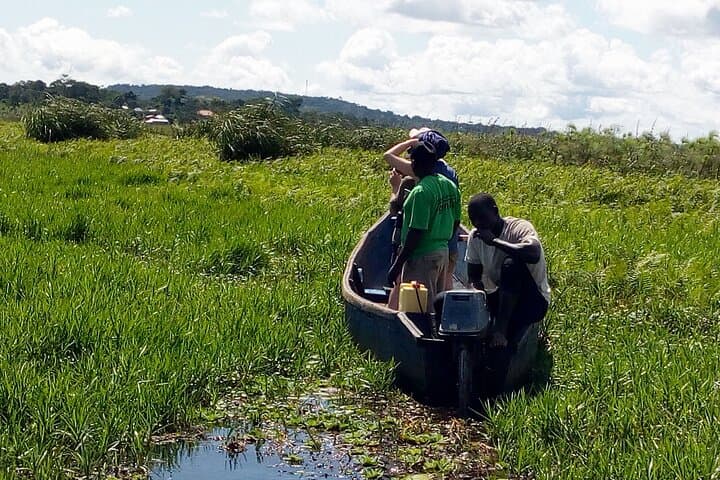 Mabamba Shoebill Tracking: 1-Day Shoebill Safari from Entebbe