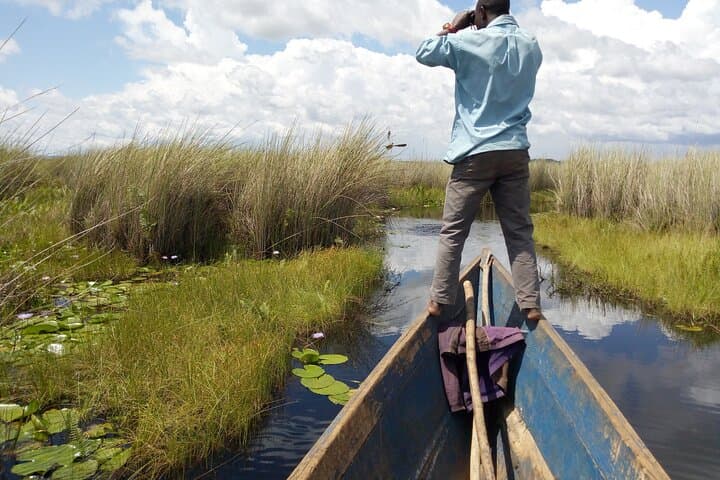 Mabamba Shoebill Tracking: 1-Day Shoebill Safari from Entebbe photo 2