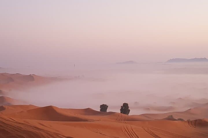 Dubai Sunrise Red Dunes Safari: Private Morning Dune Bashing, Sandboarding & Camel Ride photo 4