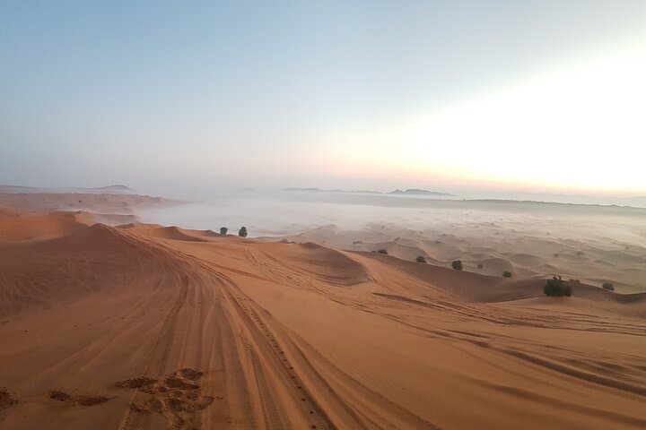 Morning Red Dune Desert Safari Dubai — Camel Ride & Sandboarding photo 3