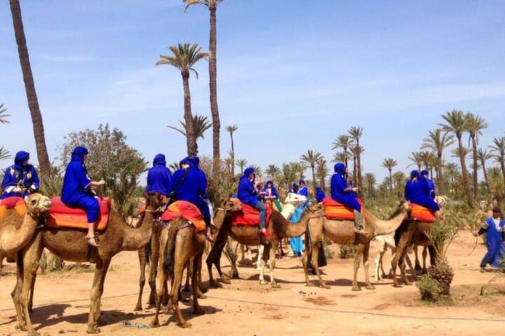 Camel Ride Through Marrakesh Palmeraie: Dromedary Adventure and Berber Tea photo 4