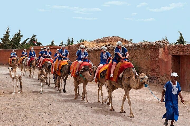 Camel Ride Through Marrakesh Palmeraie: Dromedary Adventure and Berber Tea photo 5