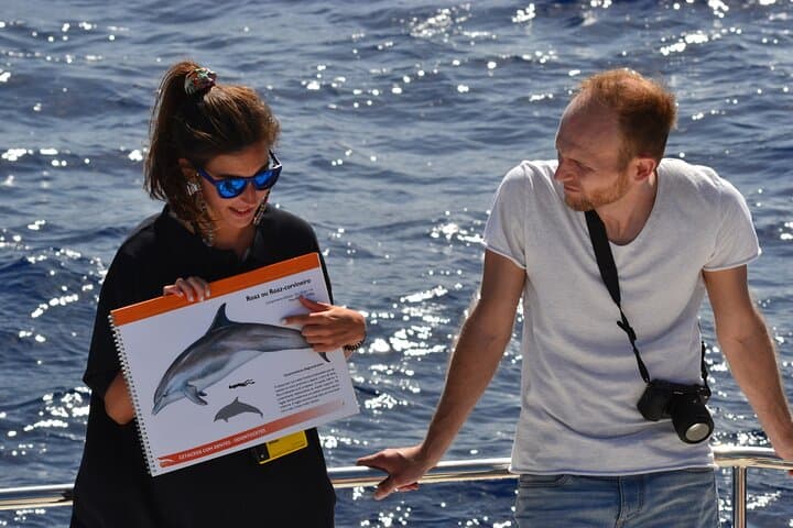 VipDolphins Luxury Whale Watching from Funchal: Dolphin & Whale Cruise photo 5