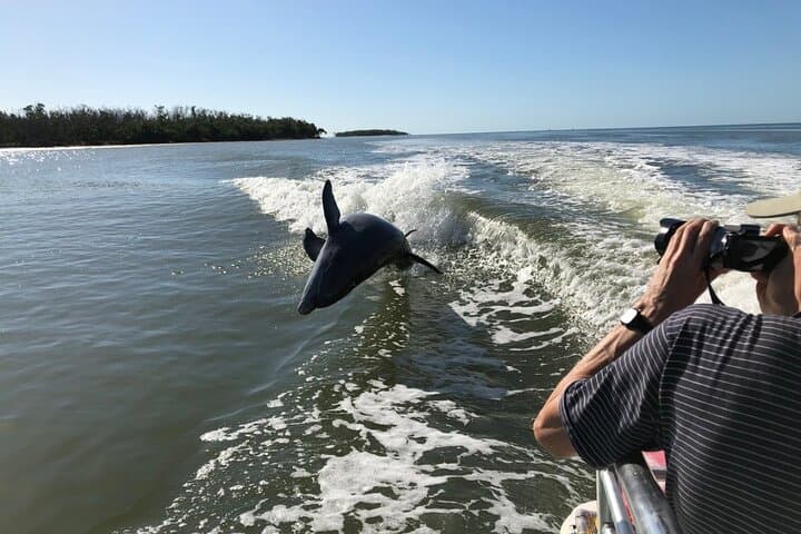 Exploring the Everglades: A Full-Day Safari Adventure from Fort Lauderdale